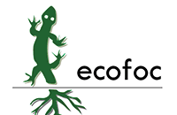 ecofoc