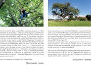 Témoignages Mn Abre