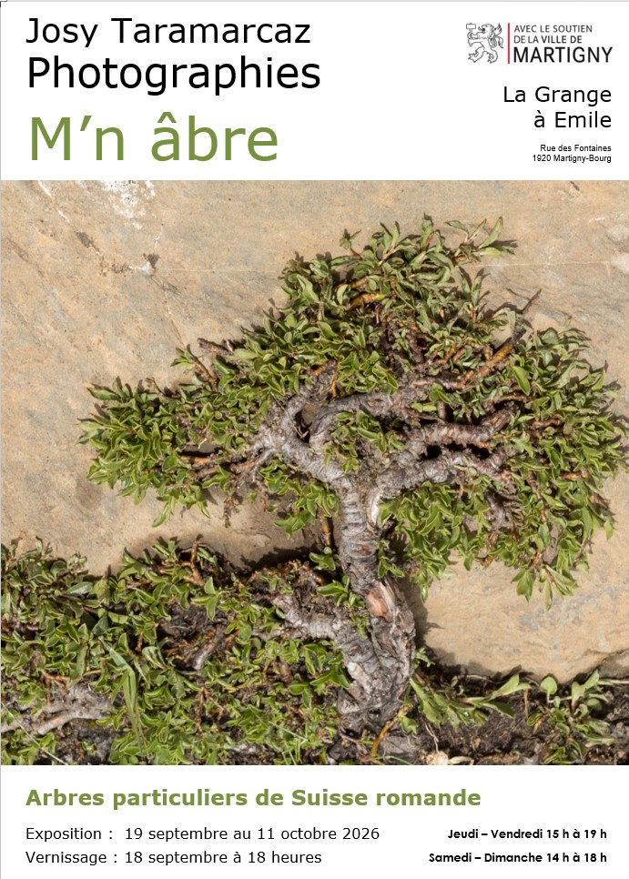 Affiche Mnabre Martigny_Recto