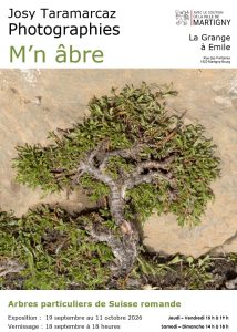 Mn abre Martigny Flyer Recto