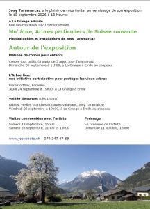 Mn abre Martigny Flyer Verso-b